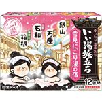 白元アース いい湯旅立ち 雪見にごり湯の宿 25g×12包