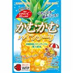 三菱食品 かむかむパインソーダ 30g