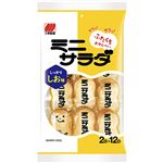 三幸製菓 ミニサラダしお味 24枚入