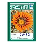 ショウワノート ジャポニカ学習帳 さんすう（17マス）B5