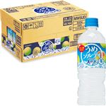 【ケース販売】サントリーフーズ 天然水うめソルティ 540ml×24