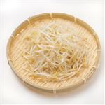 トップバリュベストプライス 兵庫県 などの国内産 緑豆もやし 200g 1袋