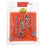 トップバリュベストプライス みじんしょうが 50g