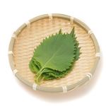 愛知県などの国内産 トップバリュ大葉 1袋 【3月27日～28日 配送】