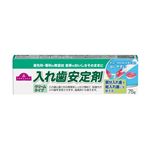 トップバリュ 入れ歯安定剤 クリームタイプ 無添加 75g