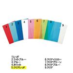 トップバリュ クリアホルダーA4（クリアレッド）