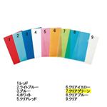 トップバリュ クリアホルダーA4（クリアグリーン）