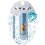 ファイントゥデイ ウオーターインリップ スーパーモイストキープ n 3.5g