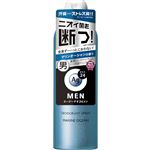 ファイントゥデイ エージーデオ24 メンズデオドラントスプレーN（マリンオーシャン）LL 180g