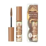 資生堂 マジョリカ マジョルカ ブロー＆ラッシュ カラーリスト BR333 バニラブラウン 4.5g