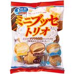 天恵製菓 ミニブッセトリオ 130g