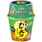 日清食品 完全メシ キーマカレーメシ スパイシー 116g