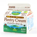 中沢フーズ パントリークリーム 100ml