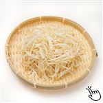 トップバリュ 新潟県 などの国内産 黒豆もやし（細もやし）200g 1袋