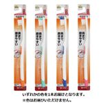 トップバリュベストプライス 奥まで磨きやすいハブラシ ふつう 1本