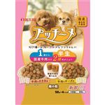 【ペット用】ペットライン プッチーヌ 半生 1歳から 国産牛肉入り 200g（50g×4パック）