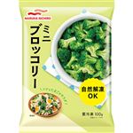 マルハニチロ ミニブロッコリー 100g