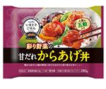 ニップン いまどきごはん 甘だれからあげ丼 280g