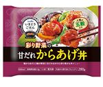 ニップン いまどきごはん 甘だれからあげ丼 280g