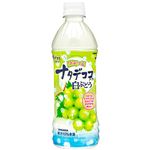 日本サンガリア つぶつぶナタデココ入り白ぶどう 500ml