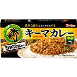 ハウス食品 ジャワカレー キーマカレー 中辛 176g