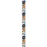 【ペット用】ペットライン キャネット（3時のスープ）おかか添え あごだしスープ風 100g（25g×4袋）