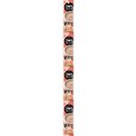 【ペット用】ペットライン キャネット（3時のスープ）サーモン添え 海鮮ポタージュ風 100g（25g×4袋）