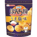 ぼんち ぼんち揚 うま塩味チャック付 85g