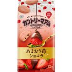 不二家 カントリーマアム（あまおう苺ショコラ）12枚入