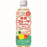 不二家 南国フルーツスカッシュ 500ml