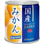 はごろもフーズ 国産みかん 295g　