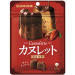 UHA味覚糖 カヌレットショコラ 40g