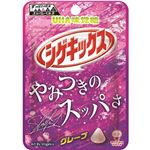 UHA味覚糖 シゲキックスグレープ 20g