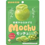 UHA味覚糖 モッチュ シャインマスカット味 45g