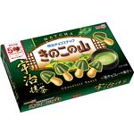 明治 きのこの山 宇治抹茶 64g