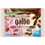 明治 ガルボアソート袋 108g