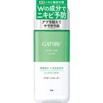マンダム GATSBY（ギャツビー）薬用アクネケアウォーター 200ml