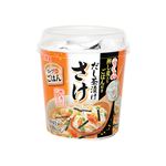 丸美屋 スープdeごはん（さけ茶漬け）66.6g