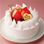 【クリスマス予約】 ベリーのデコレーションショートケーキ【M0012】 直径約12.5cm×高さ約5cm 【12月22日、23日、24日、25日の配送になります】