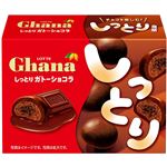 ロッテ ガーナ しっとり ガトーショコラ 42g