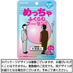 ロッテ めっちゃふくらむフーセンガムパウチ 21g