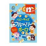 【12ヶ月頃～幼児期まで】ユニマットリケン ベビーキッズ ブルーベリーボーロ 15g×4袋