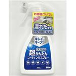 和気産業 水まわりの超かんたん コーティングスプレー 300ml CSP－001