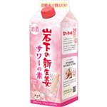日酒販 岩下の新生姜 サワーの素 500ml