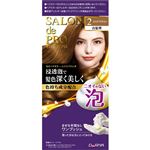 ダリヤ サロン ド プロ 泡のヘアカラー エクストラリッチ 2 クリアブラウン 1個