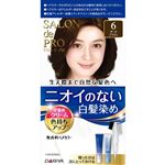 ダリヤ サロン ド プロ 無香料ヘアカラー 早染めクリーム 6 ダークブラウン 1個