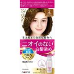 ダリヤ サロン ド プロ 無香料ヘアカラー 早染め乳液 2 より明るいライトブラウン 1個