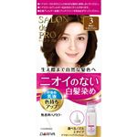 ダリヤ サロン ド プロ 無香料ヘアカラー 早染め乳液 3 明るいライトブラウン 1個