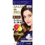 ダリヤ サロン ド プロ ザ・クリームヘアカラー 5 ブラウン 1個