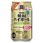 宝酒造 焼酎ハイボール 強烈塩レモンサイダー割り 350ml